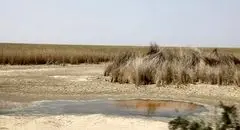 اجرای طرح حفر ۷۰ چاه آب در تهران