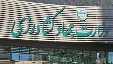 حرکت تازه در بازار کشاورزی؛ ثبت سفارش واردات از هفته آینده