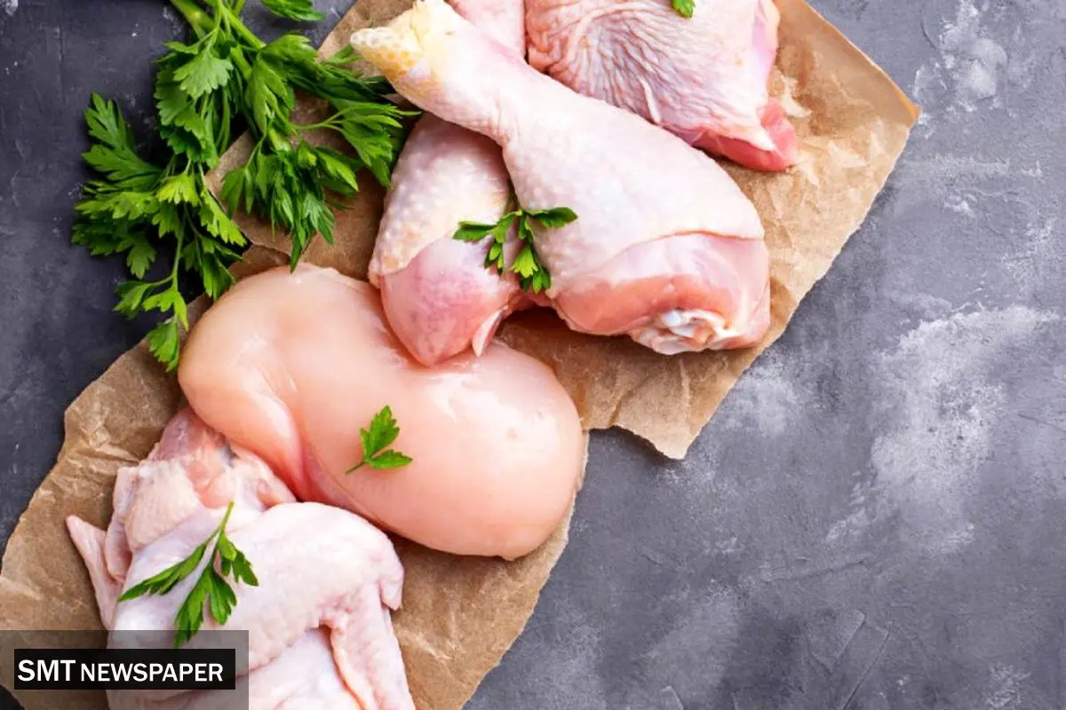 لیست قیمت انواع مرغ امروز چهارشنبه ۱۴ آبان ۱۴۰۴ + جدول