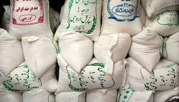جهش قیمت برنج ایرانی؛ سه شنبه ۴ شهریور ۱۴۰۴
