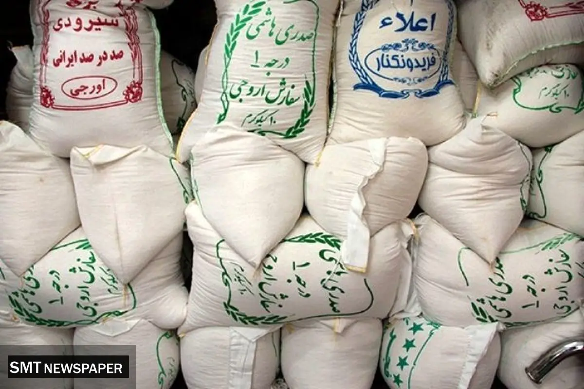 جهش قیمت برنج ایرانی؛ سه شنبه ۴ شهریور ۱۴۰۴