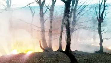 آتش بر پیکر حیاتی ۴۰ میلیون ساله