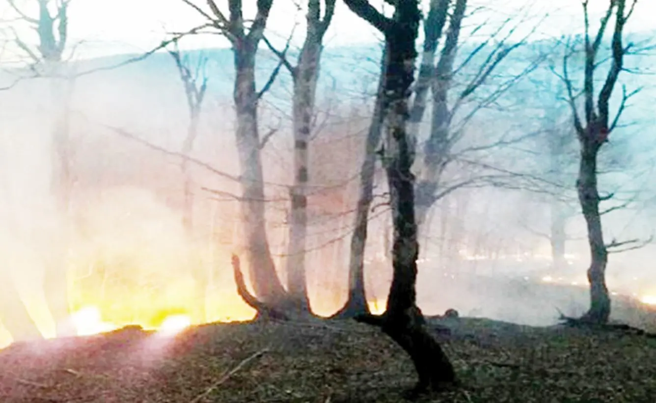 آتش بر پیکر حیاتی ۴۰ میلیون ساله