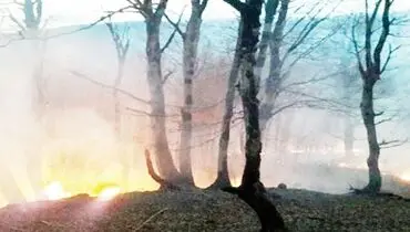 آتش بر پیکر حیاتی ۴۰ میلیون ساله