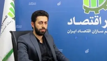 تعدد قوانین، محمل تخلف شرکت‌های دولتی