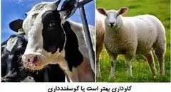 نرخ روز دام زنده در بازار؛ سه‌شنبه ۲۹ مهر ۱۴۰۴