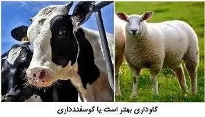 نرخ روز دام زنده در بازار؛ سه‌شنبه ۲۹ مهر ۱۴۰۴