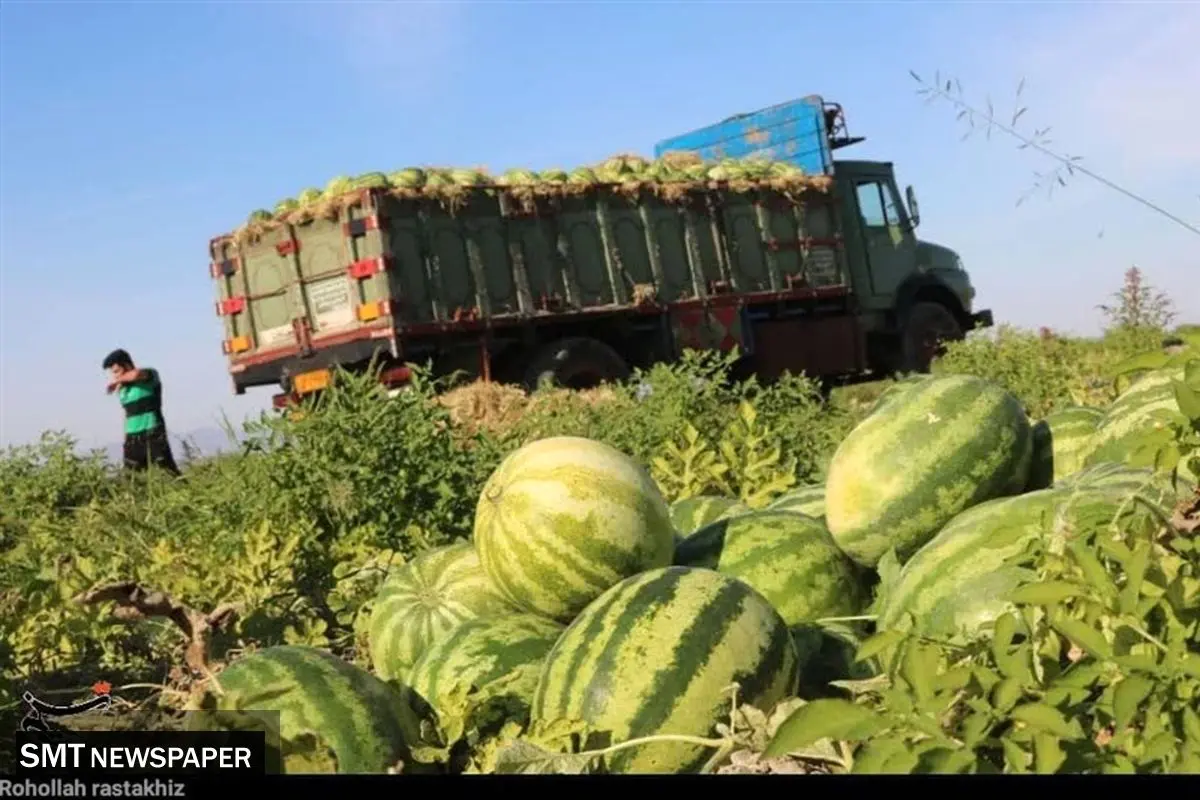 هشدار جدی؛ خوردن هندوانه مساوی با مرگ!