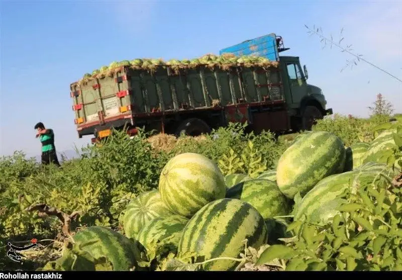 هشدار جدی؛‌ خوردن هندوانه مساوی با مرگ!