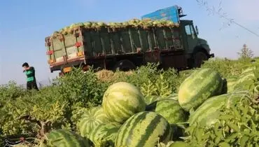 هشدار جدی؛‌ خوردن هندوانه مساوی با مرگ!