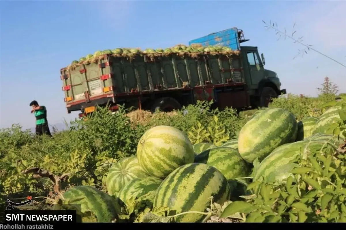 هشدار جدی؛‌ خوردن هندوانه مساوی با مرگ!