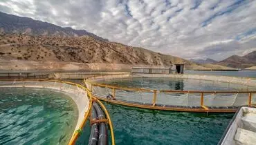 تحقق اقتصاد دریامحور