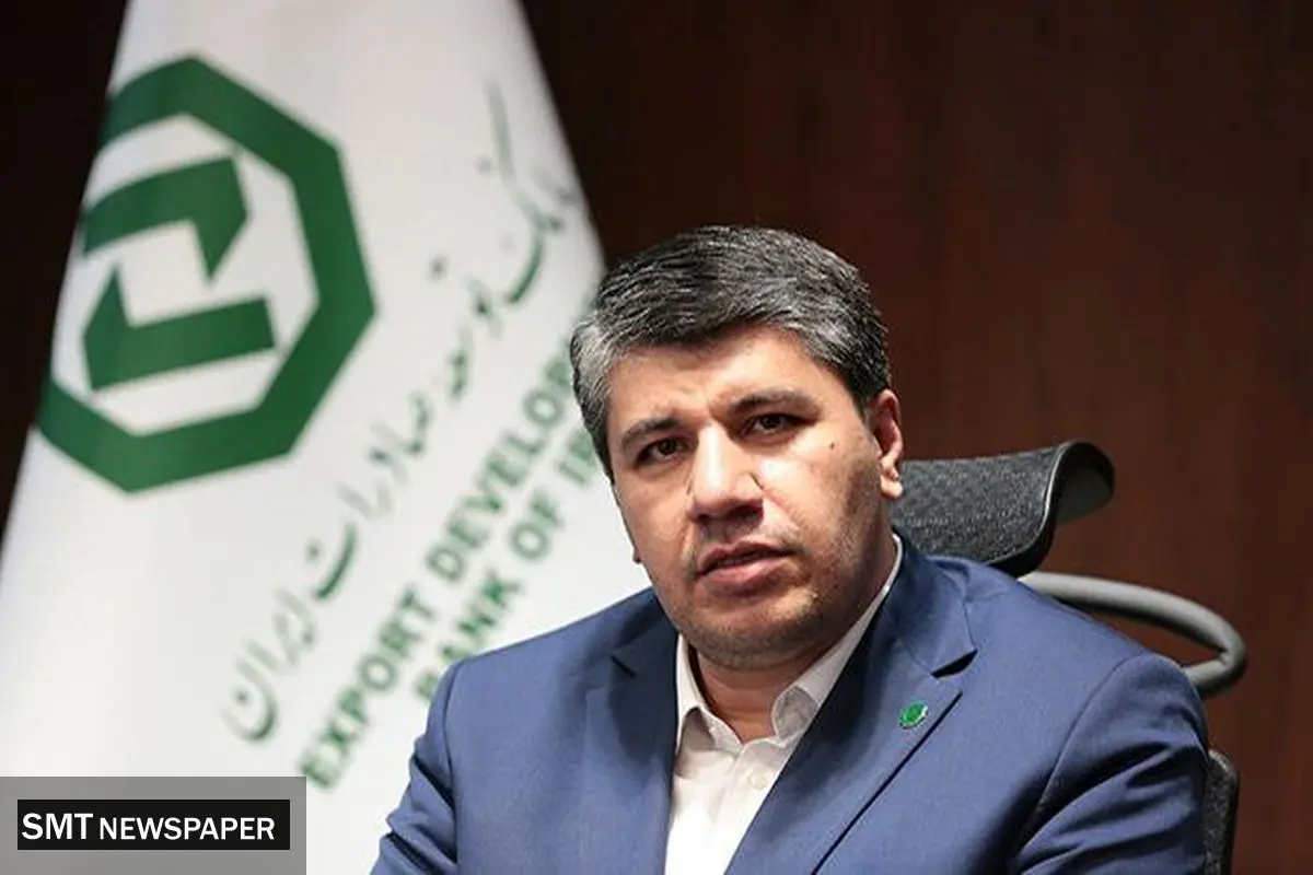 حمایت بانک توسعه صادرات ایران از صنعت پتروشیمی؛ گامی برای کاهش ناترازی انرژی