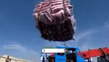 تماشا کنید:برنج وارداتی با نرخ دولتی فروخته می شود