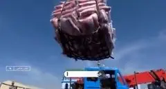 تماشا کنید:برنج وارداتی با نرخ دولتی فروخته می شود