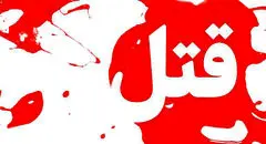 قتل هولناک زن ۲۷ ساله توسط مغازه دار با سرقت و خفگی همراه شد