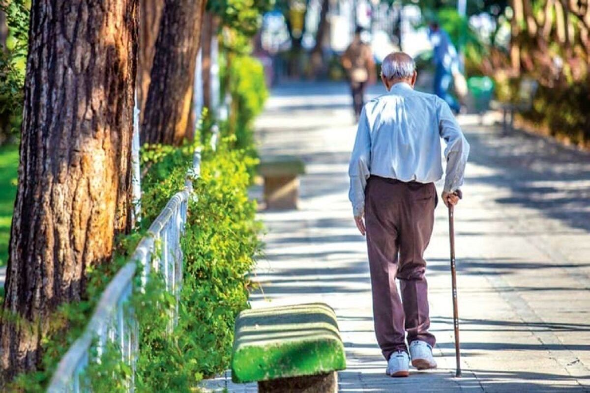 ضرورت تخصیص بودجه برای سالمندان