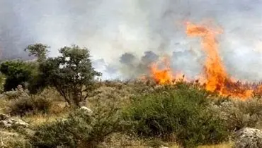 پاییز پرحادثه برای جنگل‌های شمال؛ شعله‌های آتش مهار نشده