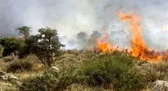 پاییز پرحادثه برای جنگل‌های شمال؛ شعله‌های آتش مهار نشده