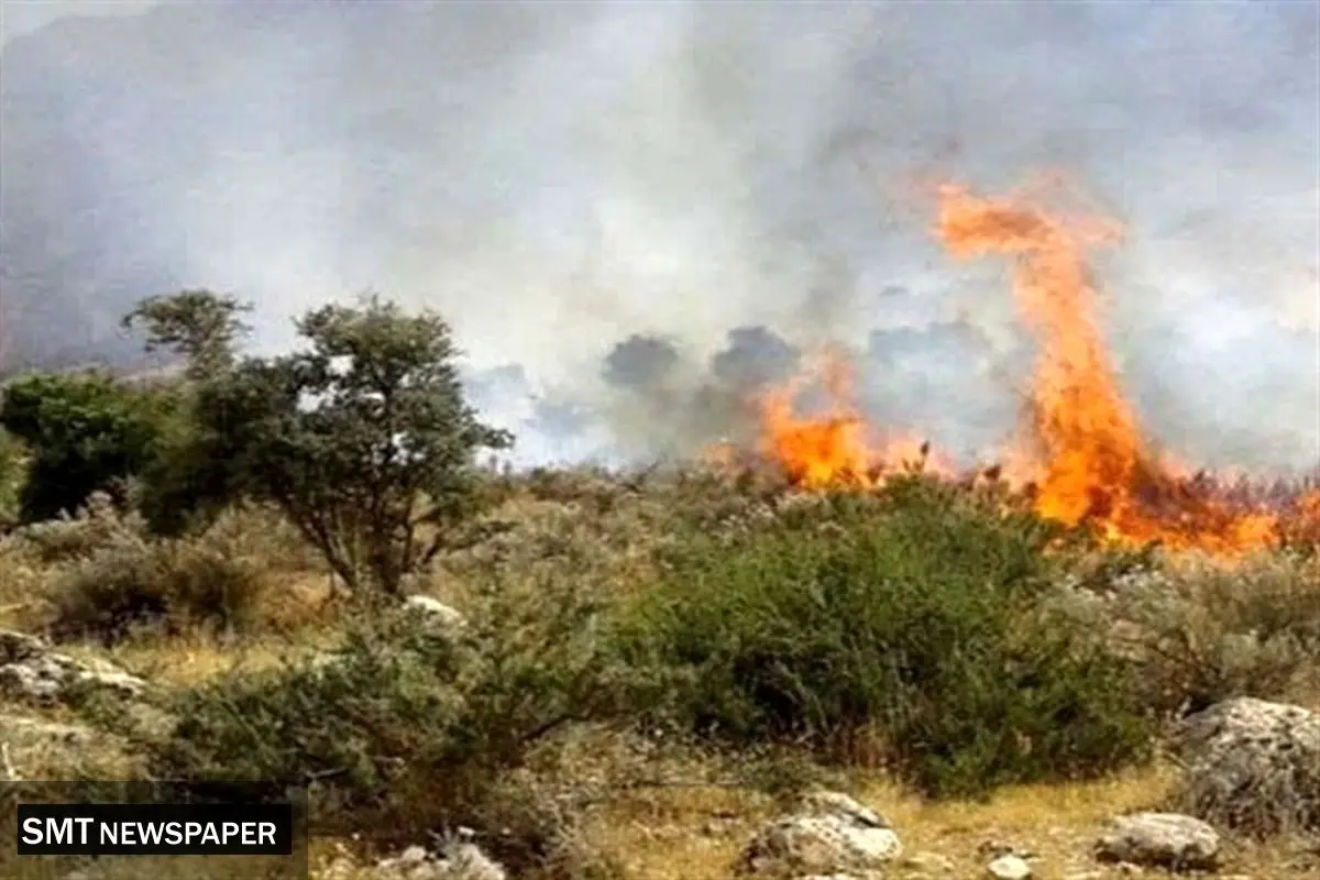 پاییز پرحادثه برای جنگل‌های شمال؛ شعله‌های آتش مهار نشده