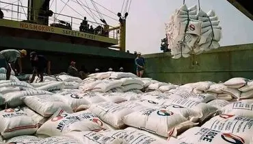 کمبود برنج؛ سیاه‌نمایی یا واقعیت 