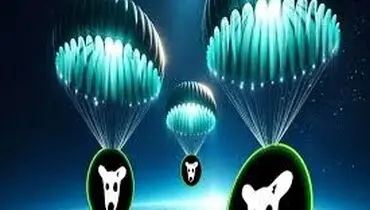 جدیدترین قیمت داگز ( ۶ شهریور ۱۴۰۳)
