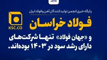«فولاد خراسان» و «جهان فولاد»  تنها شرکت‌‌های دارای رشد سود در ۱۴۰۳