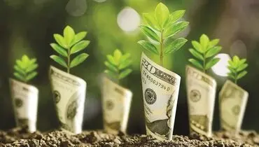 برچسب سبز؛ اعتماد خاکستری