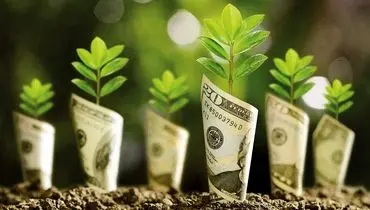 برچسب سبز؛ اعتماد خاکستری