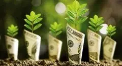 برچسب سبز؛ اعتماد خاکستری