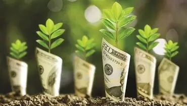 برچسب سبز؛ اعتماد خاکستری