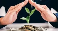 از ۱ تا ۲۰۰ میلیون؛ کجا سرمایه‌گذاری کنیم که بیشتر از بانک سود بدهد؟