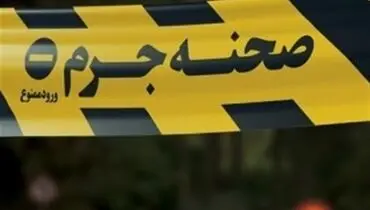 جزئیات مربوط به قتل سروش ستوده در ولنجک با ۳ ضربه چاقو