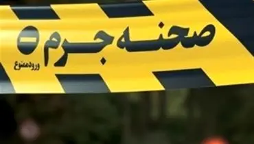 جزئیات مربوط به قتل سروش ستوده در ولنجک با ۳ ضربه چاقو