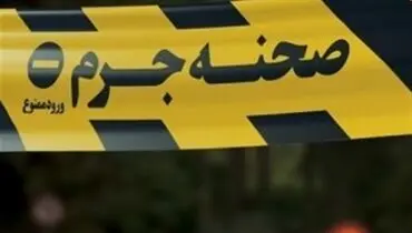 جزئیات مربوط به قتل سروش ستوده در ولنجک با ۳ ضربه چاقو