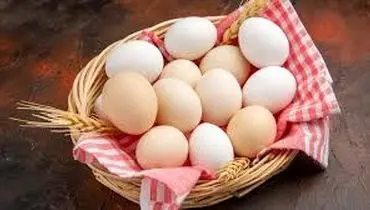 کاهش قیمت تخم مرغ در بازار امروز چهارشنبه ۸ مرداد ۱۴۰۴