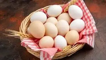 کاهش قیمت تخم مرغ در بازار امروز چهارشنبه ۸ مرداد ۱۴۰۴