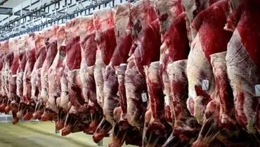 ۳ تن گوشت الاغ و قاطر در تهران کشف شد