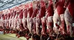 ۳ تن گوشت الاغ و قاطر در تهران کشف شد