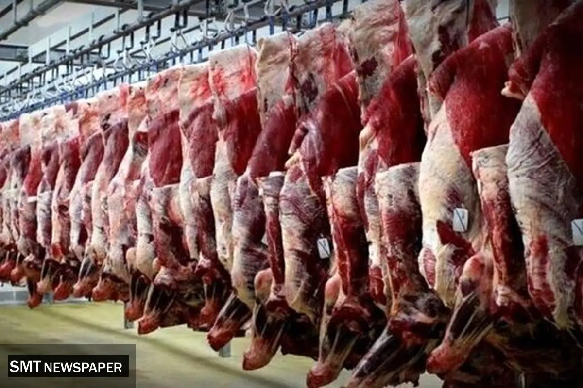 ۳ تن گوشت الاغ و قاطر در تهران کشف شد