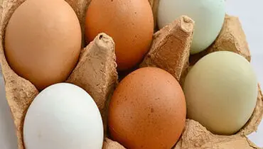 لیست قیمت تخم‌مرغ بسته‌بندی؛ سه شنبه ۴ شهریور ۱۴۰۴