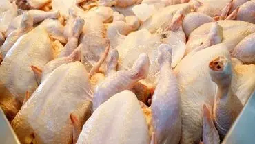 لیست قیمت انواع مرغ امروز دوشنبه ۲۷ مرداد ۱۴۰۴