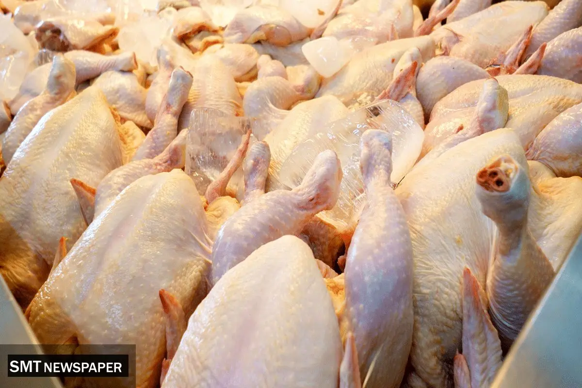 لیست قیمت انواع مرغ امروز دوشنبه ۲۷ مرداد ۱۴۰۴