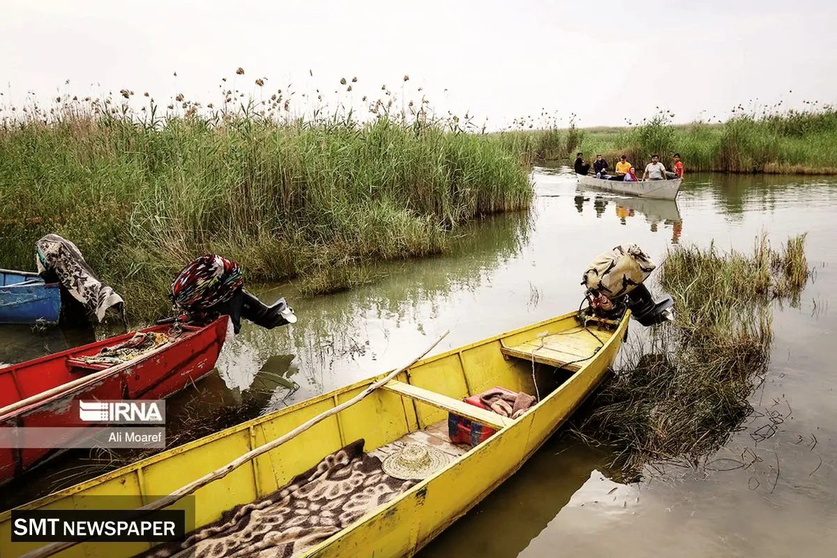 تصفیه‌خانه‌های طبیعی در حال مرگ