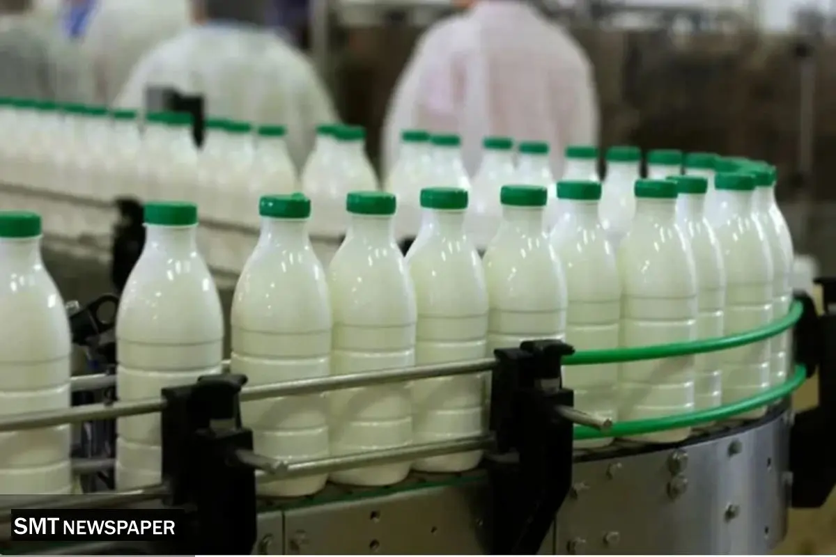 لبنیات 50 درصد گران می‌شود!