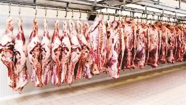 دولت در میدان تنظیم بازار گوشت