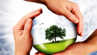 نقش بیمه در عرصه محیط‌زیست