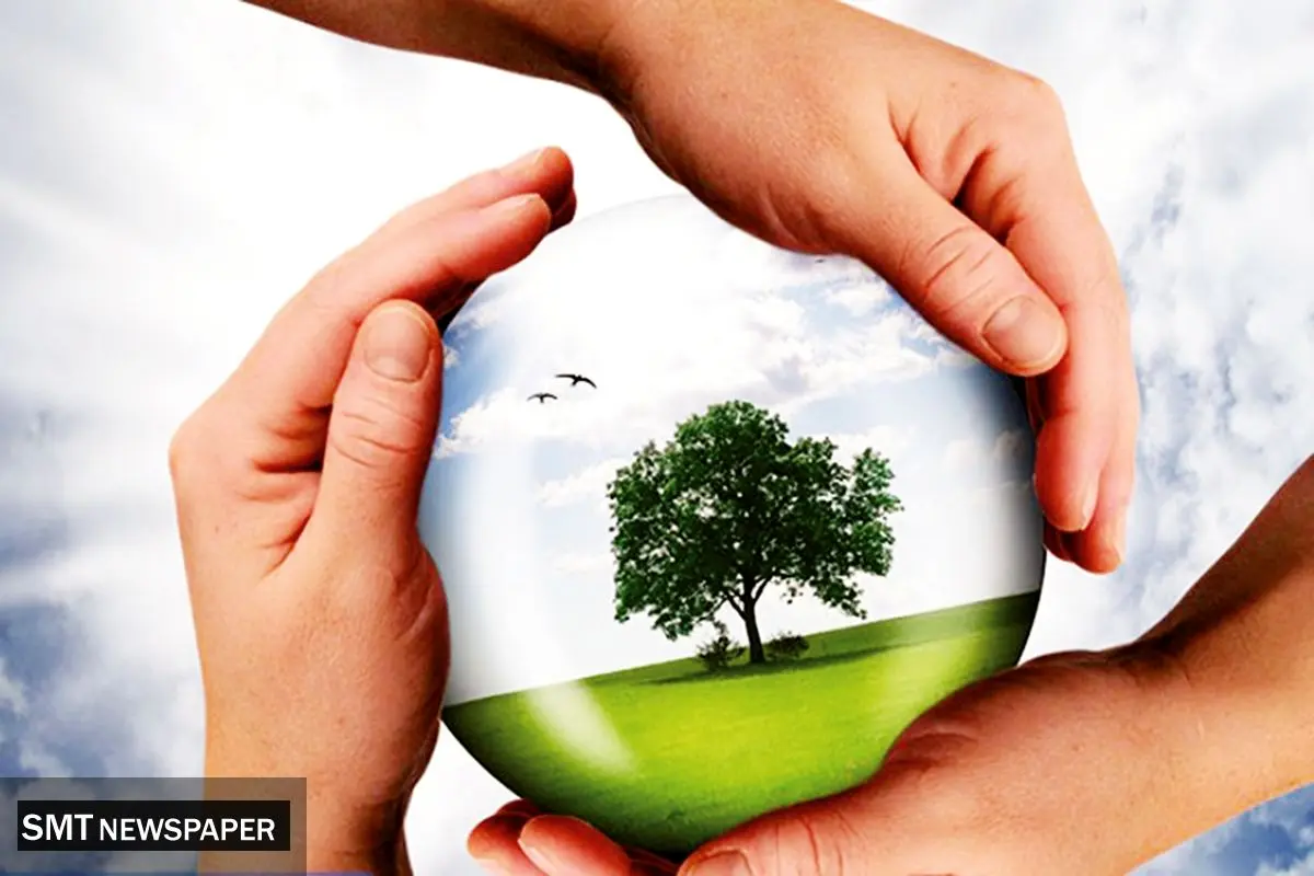 نقش بیمه در عرصه محیط‌زیست