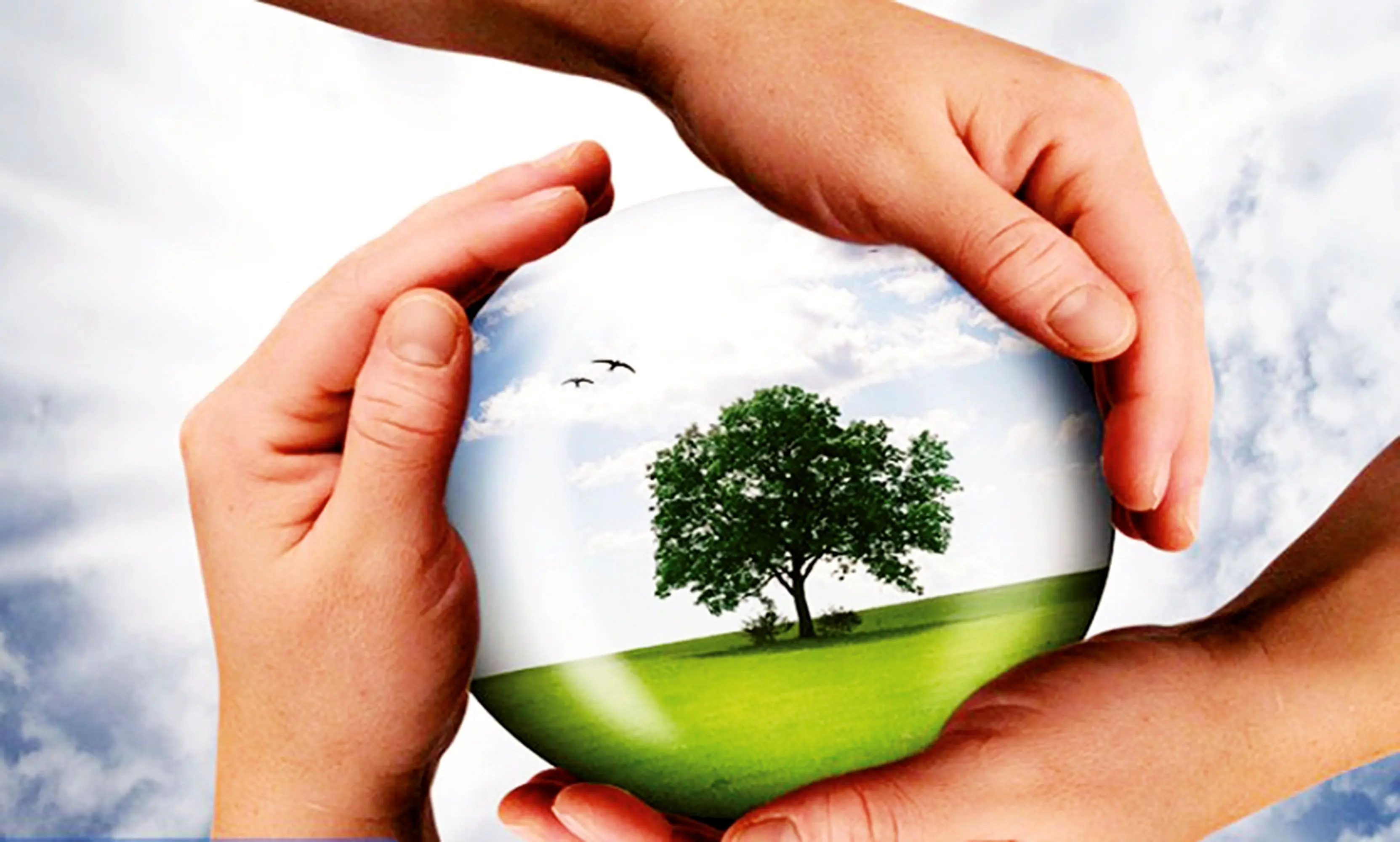 نقش بیمه در عرصه محیط‌زیست