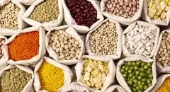 لوبیای نیم میلیونی محصول ارز توافقی